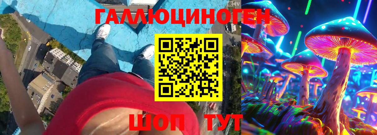 Псилоцибиновые грибы GOLDEN TEACHER  Псилоцибиновые грибы Cubensis  Гулькевичи  Вход с VPN 