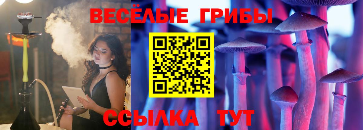 Галлюциногенные грибы ЛСД Гулькевичи