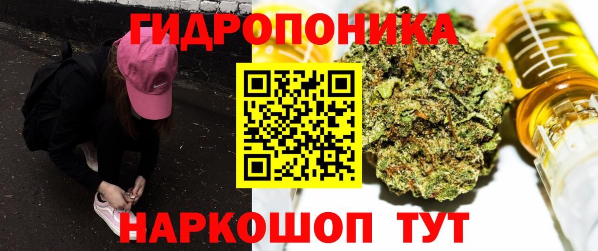 Марихуана сатива Гулькевичи